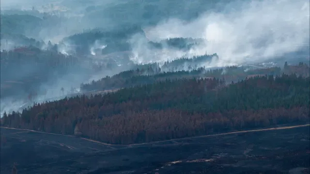 Controlado na Bélgica pior incêndio desde 1911