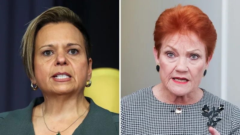 Look in the mirror: Labor heavyweight responds to Hanson’s ‘incitement’ claim