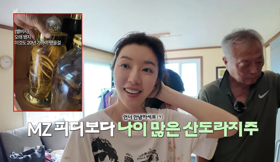 “20년 묵힌 인삼주” 박한별 아버지가 직접 담갔다는데… 오래 될수록 좋을까?