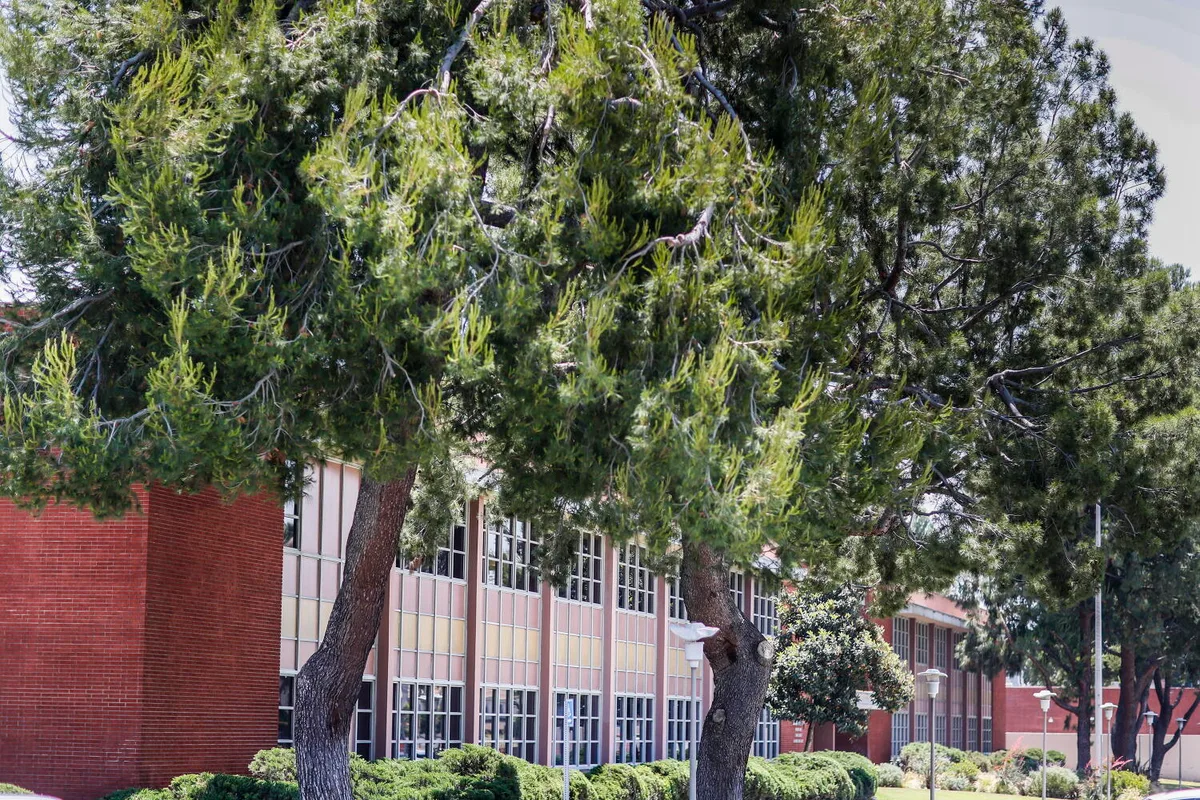 'Circling like sharks': Companies are buying up L.A. County's $4-billion sex abuse settlement