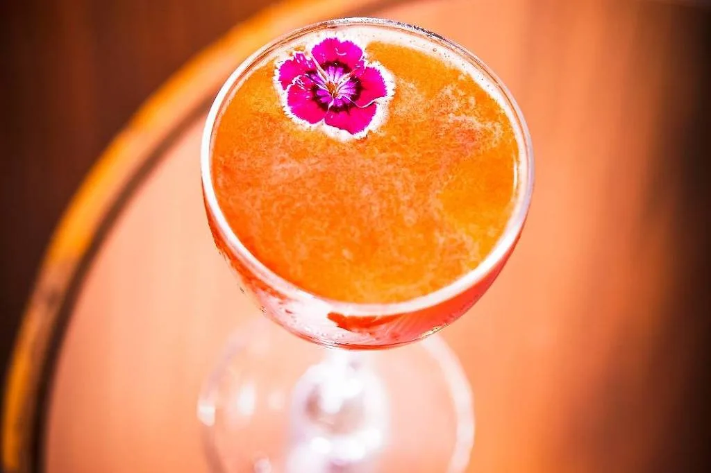 Riviera é eleito o melhor bar para ir de madrugada em São Paulo