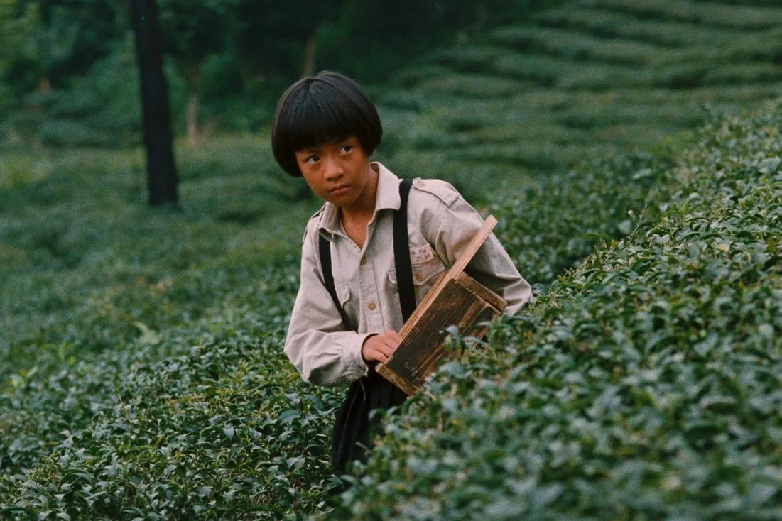Yang Li-kuo’s ‘The Dull-Ice Flower’ Set for U.S.-U.K. Release as London-Based Distributor Radiance Films Picks Up Eight Taiwanese Classics