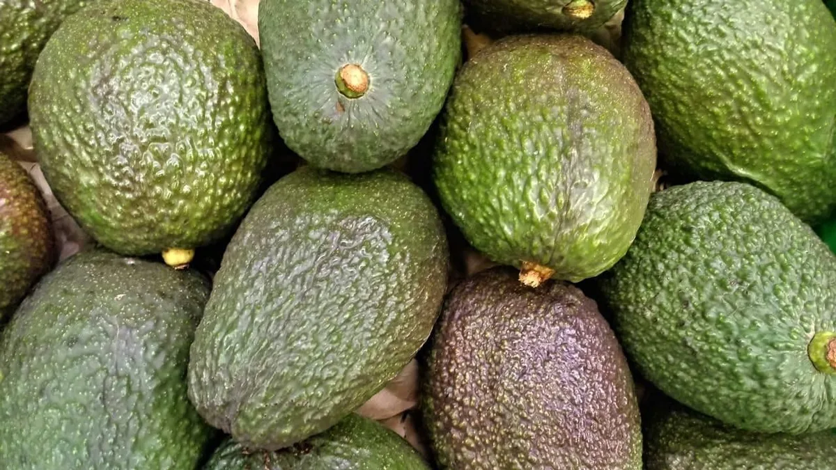 Pepe, agricultor en España: "Sí, el aguacate necesita mucha agua para crecer, pero más el arroz, los pistachos o la leche"