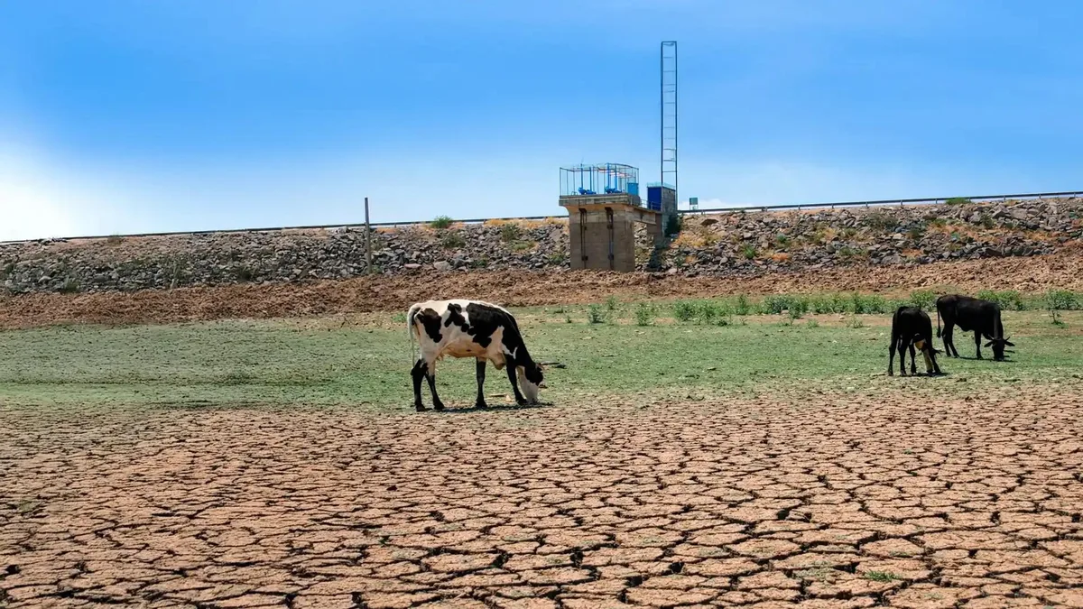 Sequía prolongada reduce disponibilidad de agua en Coahuila; analizan bombardeo de nubes