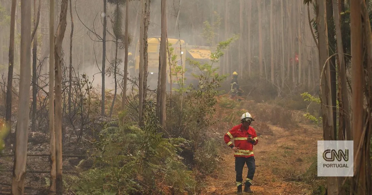 Após dia de "muito trabalho", situação evoluiu de "forma bastante positiva": incêndio em Torre de Moncorvo dominado