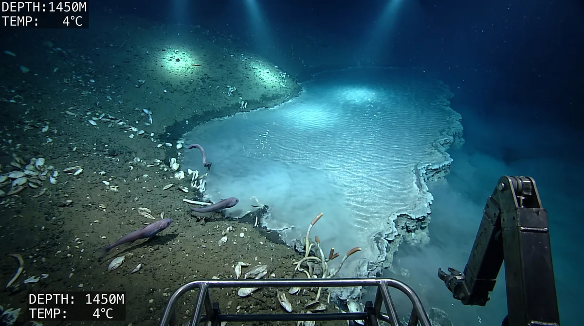 No fundo do Golfo do México existem lagos com margens e ondas mesmo estando completamente cercados pela água do oceano