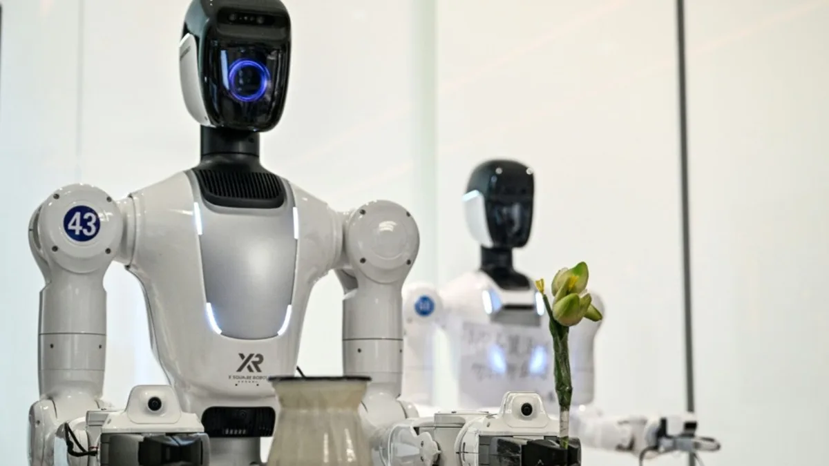 Viele Menschen würden mehrere tausend Euro für humanoide Haushaltsroboter zahlen