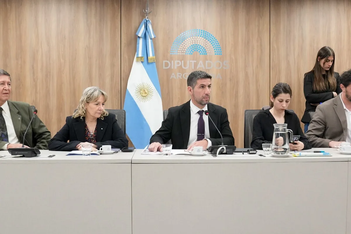 Diputados: la Comisión de Salud dictaminó la creación de un sistema de trazabilidad para medicamentos de alto riesgo
