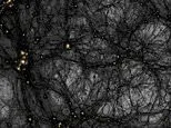 Has dark matter finally been found? Scientists may have spotted the first signs of elusive particles thought to make up 85% of the universe