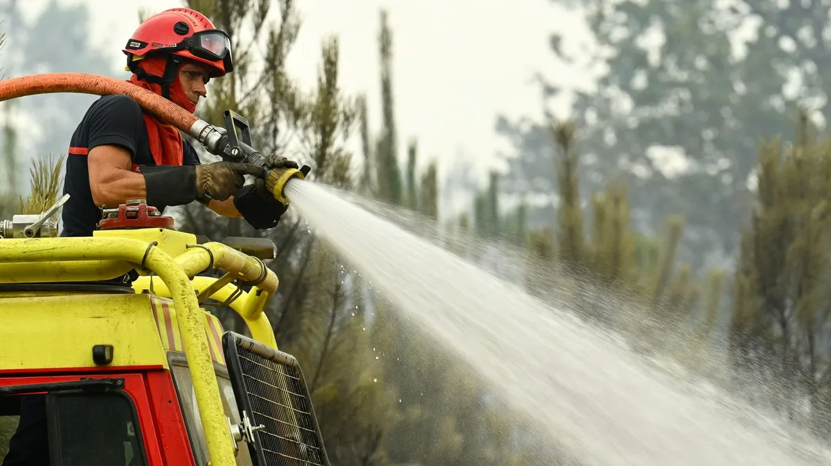 Incendie dans les Landes : "la situation évolue plutôt favorablement", sans reprise de feu majeure cette nuit, selon le préfet