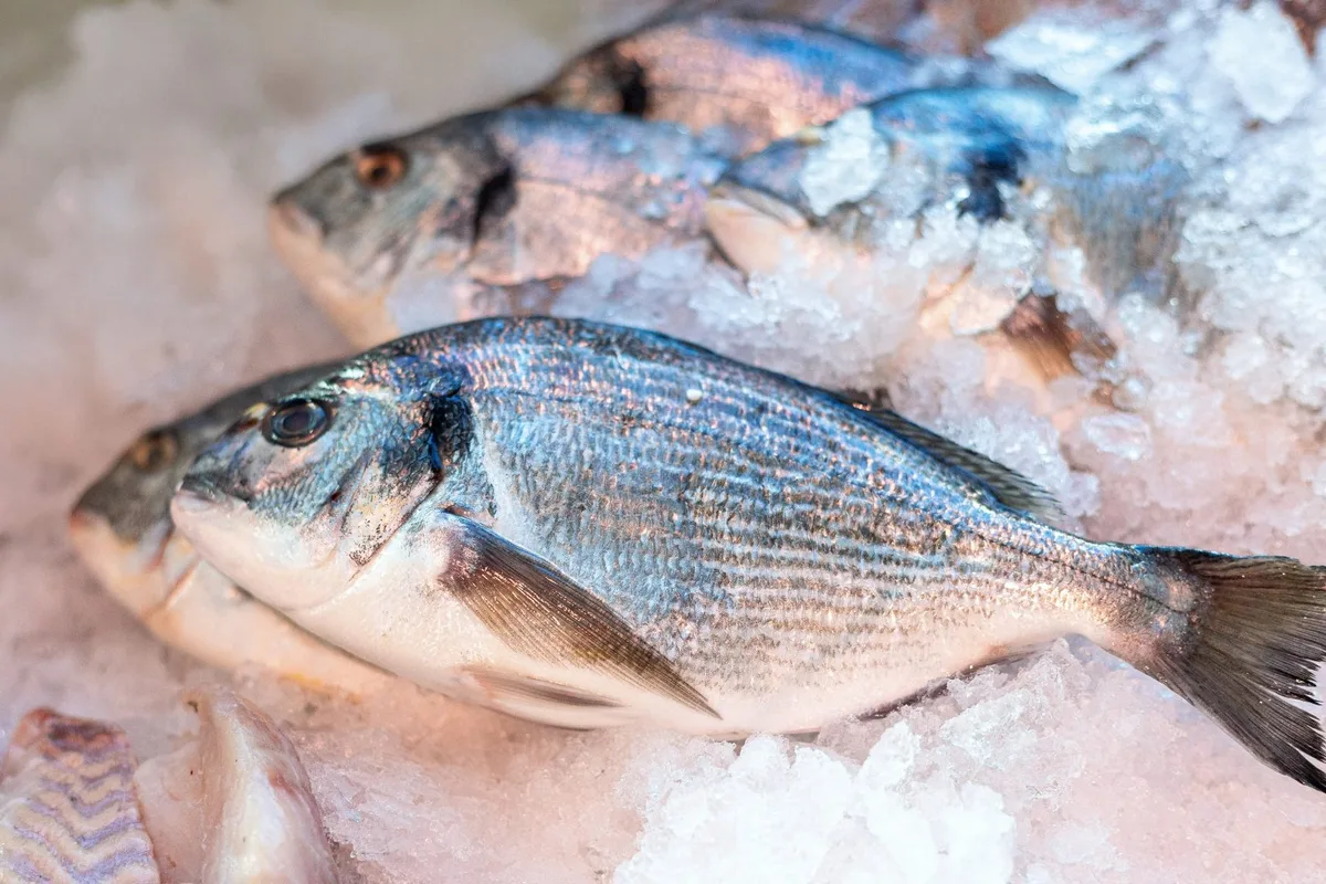Campanha nacional de incentivo ao consumo de peixes e frutos do mar chega ao ES em setembro