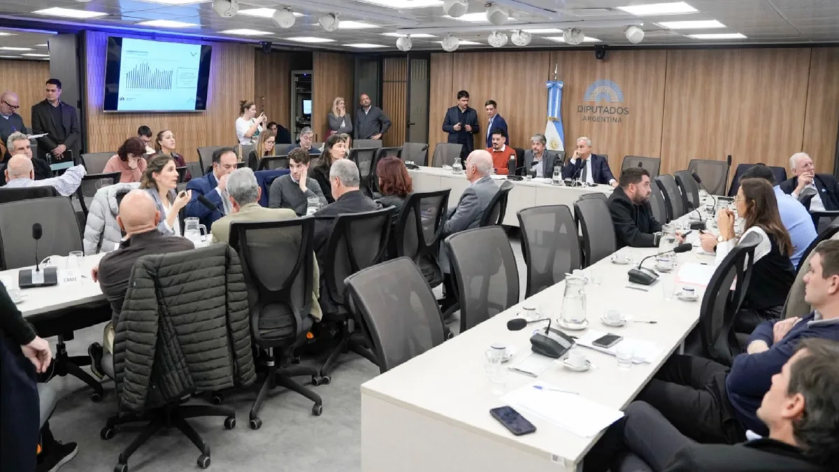 La oposición intentará avanzar esta semana con la sesión por morosidad y discapacidad en Diputados