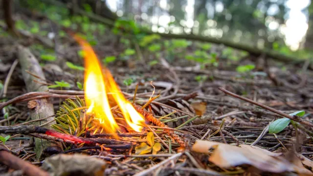 PJ detém incendiário florestal em Montalegre: Chamas consumiram 6.000 m²