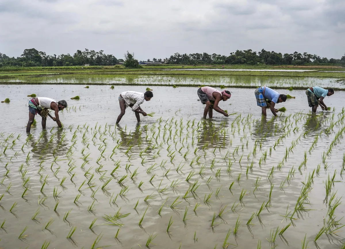 About 40% of India's sown area yet to be linked to Farmer IDs: Agri Min