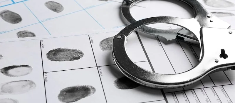 Court dismisses municipal manager’s urgent bail-related application