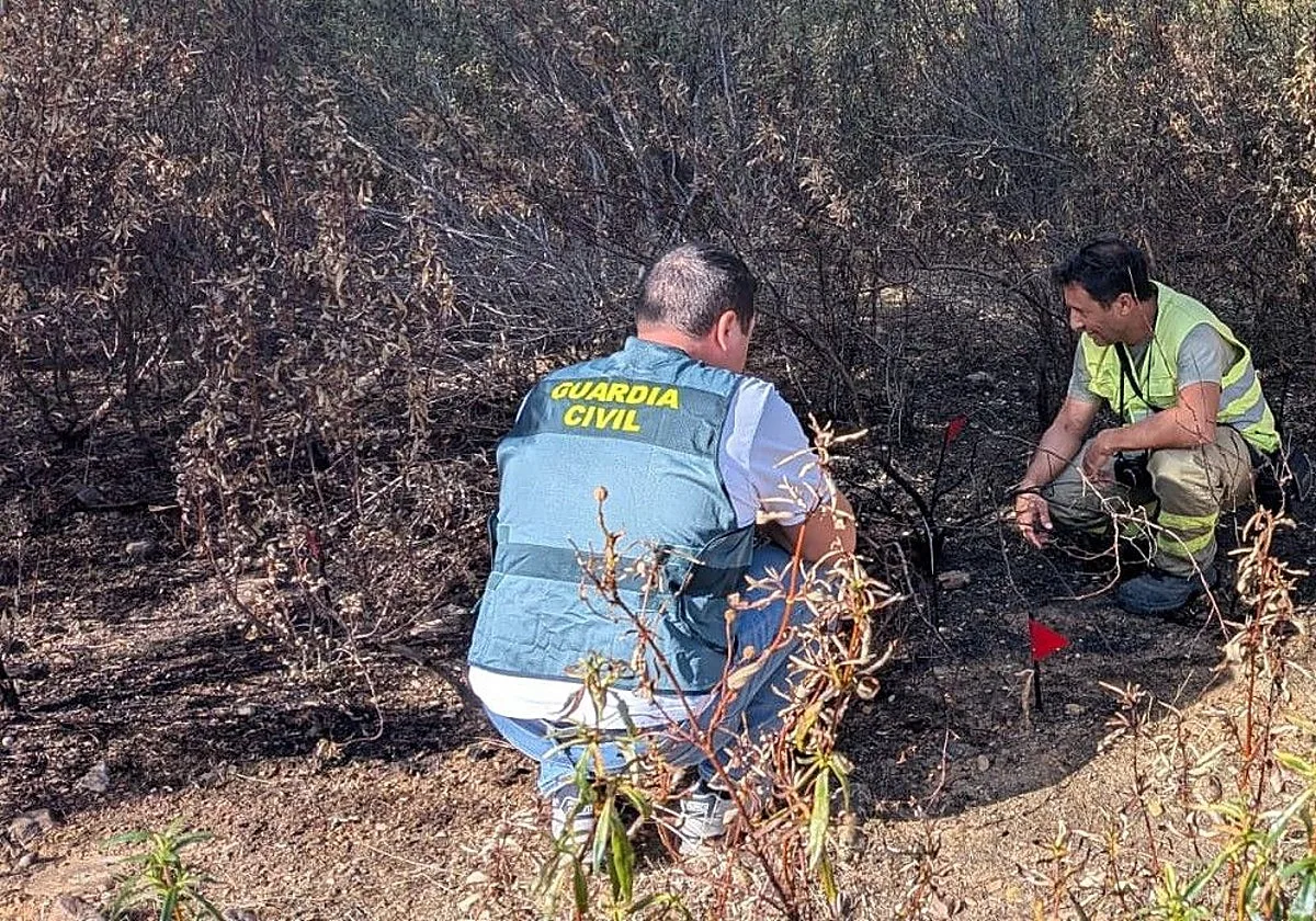 Dos detenidos por originar sendos incendios forestales en Zamora en época de riesgo alto