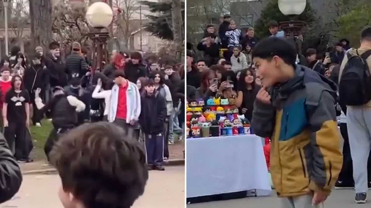 Mar del Plata: se juntaron a “farmear aura” en una plaza pero los atacaron a piedrazos