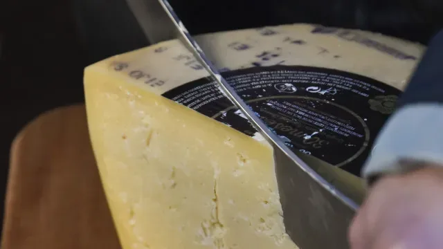 Adjudicado estudo para candidatura do queijo de São Jorge à UNESCO