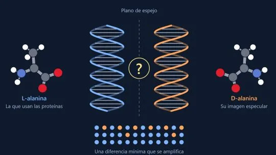 Nobel de Química para dos científicos que ayudaron a entender cómo se forman las moléculas “espejo” que caracterizan a la vida