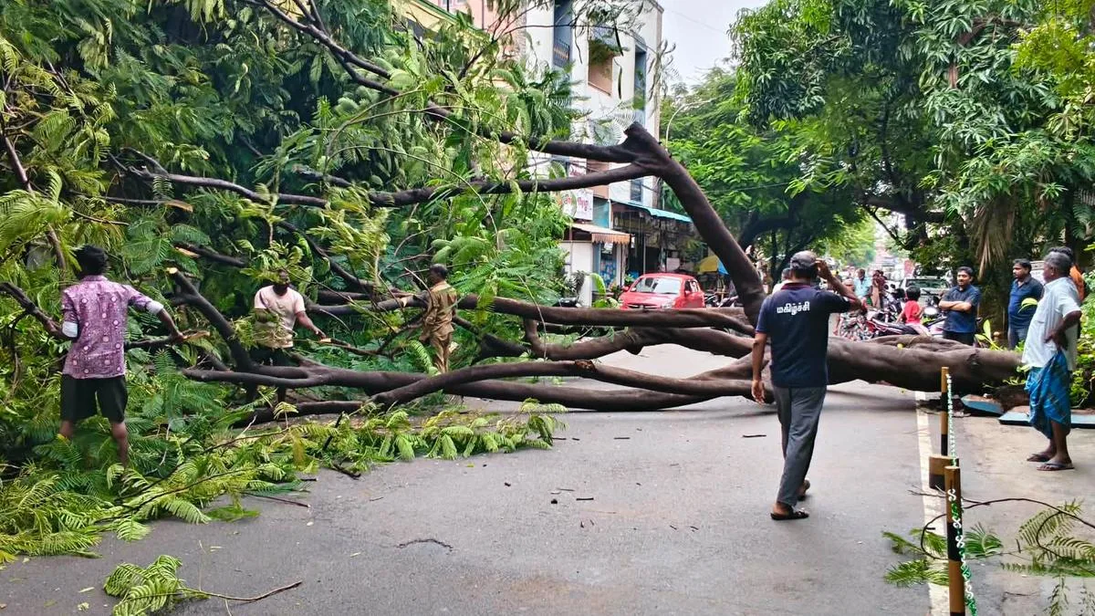 Heavy rain uproots trees in over 10 places in Chennai