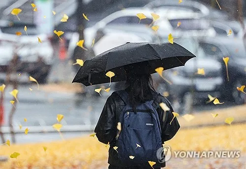 대전·세종·충남 낮 최고 29도…늦은 밤부터 가을비