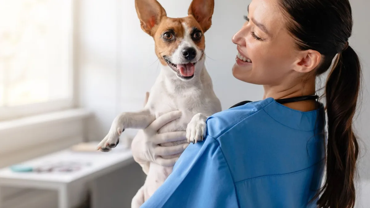 La psicología dice que los dueños de perros tienen menos estrés que los que escogen gatos: tienen más actividad y una rutina