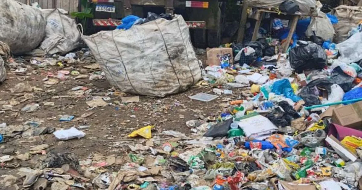 Fiscalização identifica pontos de reciclagem em área protegida de Porto Alegre