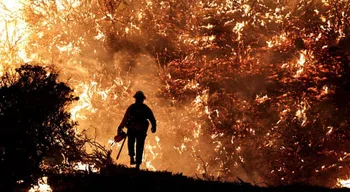 Incêndio florestal no oeste dos EUA obriga à retirada de 40 mil pessoas