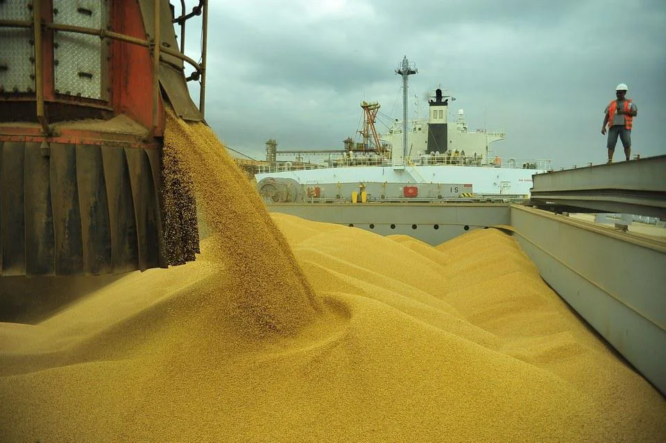 USDA eleva produção de soja dos EUA e ajusta projeções para o Brasil; analista comenta
