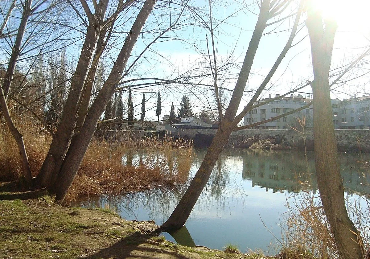 Localizan un cadáver en el vehículo sumergido el río Carrión en Palencia capital