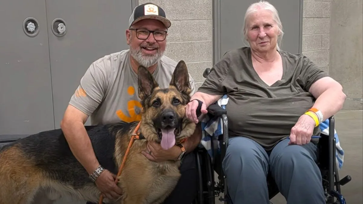 A casa já estava em chamas quando o cão de 3 anos começou a bater na porta; a tutora não percebeu o fogo porque havia perdido o olfato, mas animal conseguiu salvar a família
