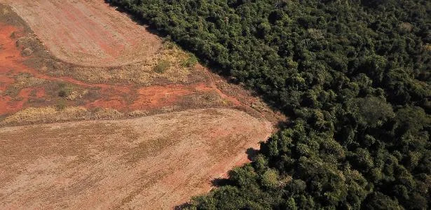 Exportação para Europa coloca agro brasileiro na linha contra desmatamento