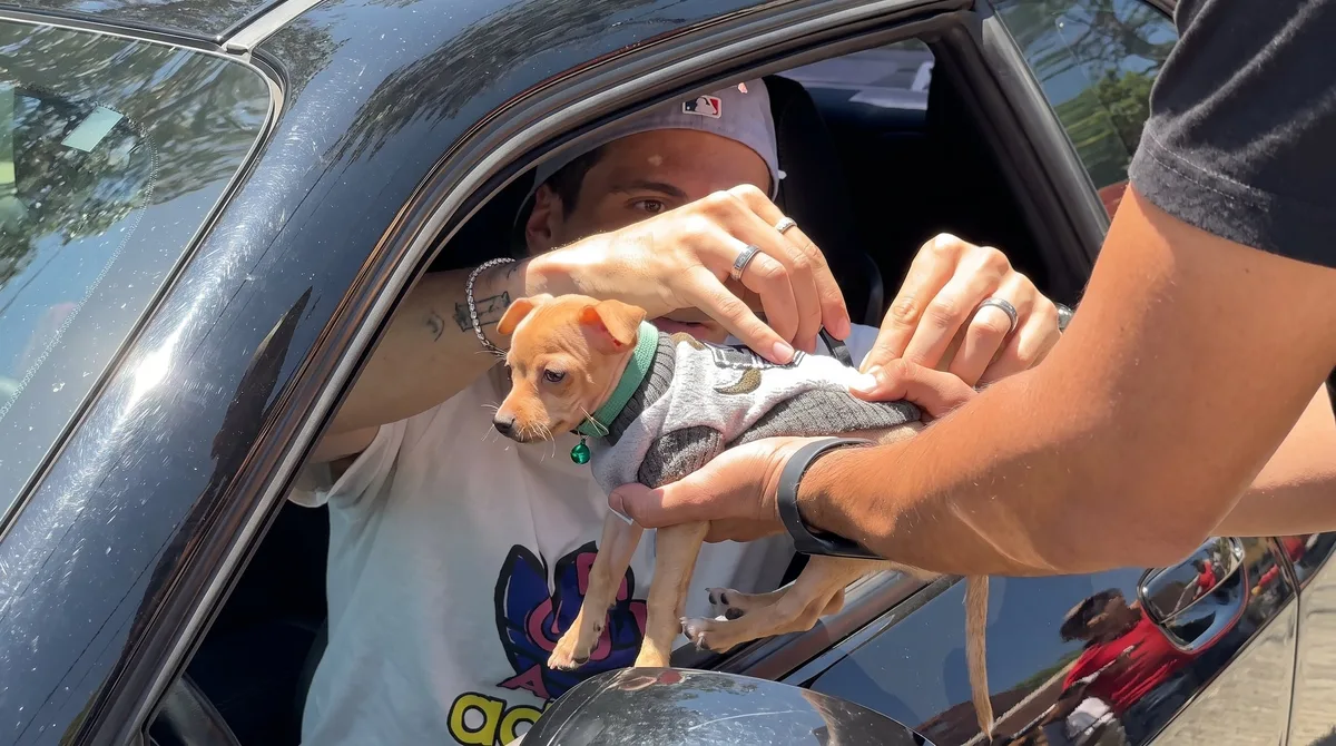 Diego Campillo, jugador de Chivas, se vuelve tendencia tras firmar un perro Chihuahua