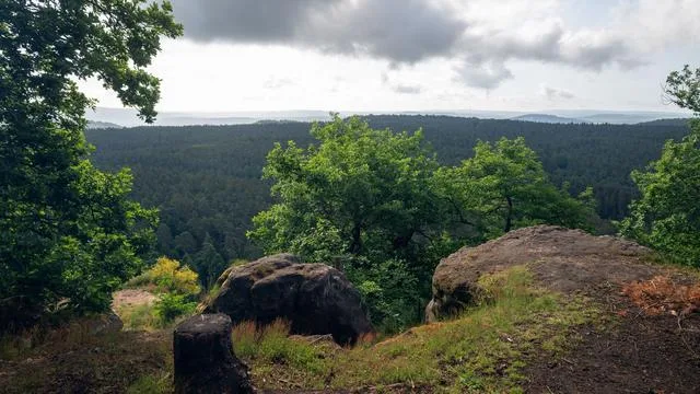 Wettervorhersage: Wolken und Schauer in Rheinland-Pfalz und im Saarland
