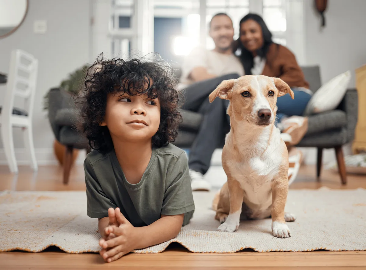 Perros vs niños: ¿por qué se relaciona el aumento de las mascotas con la bajada de la natalidad?