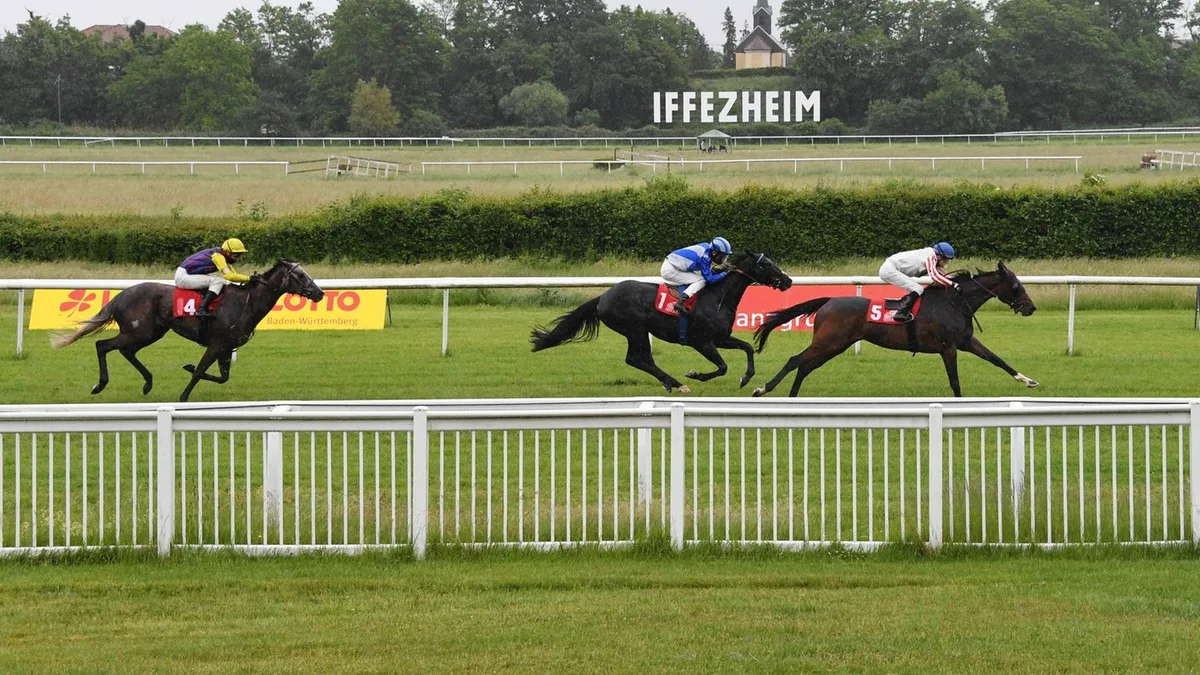 Pferderennen: Wallach Stingray gewinnt zum Auftakt in Iffezheim