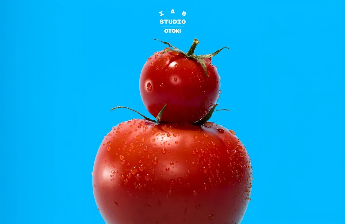 케챂을 입다…오뚜기, 아이앱 스튜디오와 출시 55주년 컬렉션 선봬