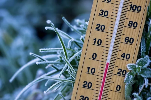 Início da semana terá chance de geada e mínima de 0°C; confira a previsão