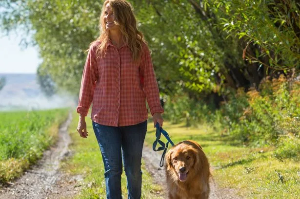 Woman with walking knee pain says she 'feels so much better' using 15% off balm