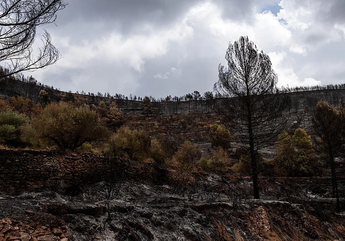 Controlado el incendio de Segorbe tras cinco días de extinción y 630 hectáreas arrasadas
