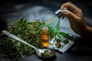 Terapia com cannabis no Ceará: qual política queremos