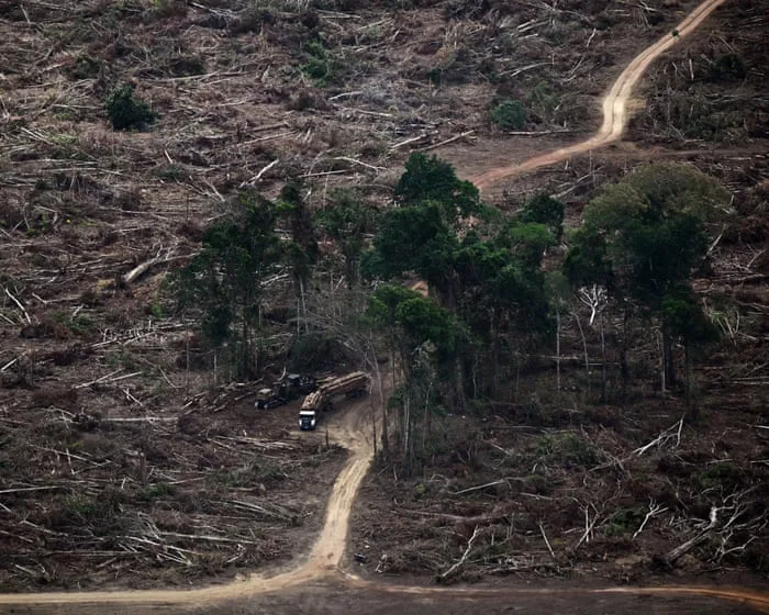 ‘Planetary boundaries’ necessary for flourishing of life have been massively breached, scientists warn
