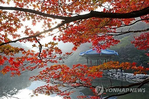 시장 골목부터 내장산까지…정읍시, 체류형 '심쿵투어' 운영