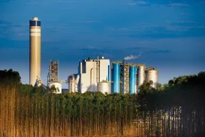 Suzano aumentará preços da celulose para Ásia pela primeira vez desde abril