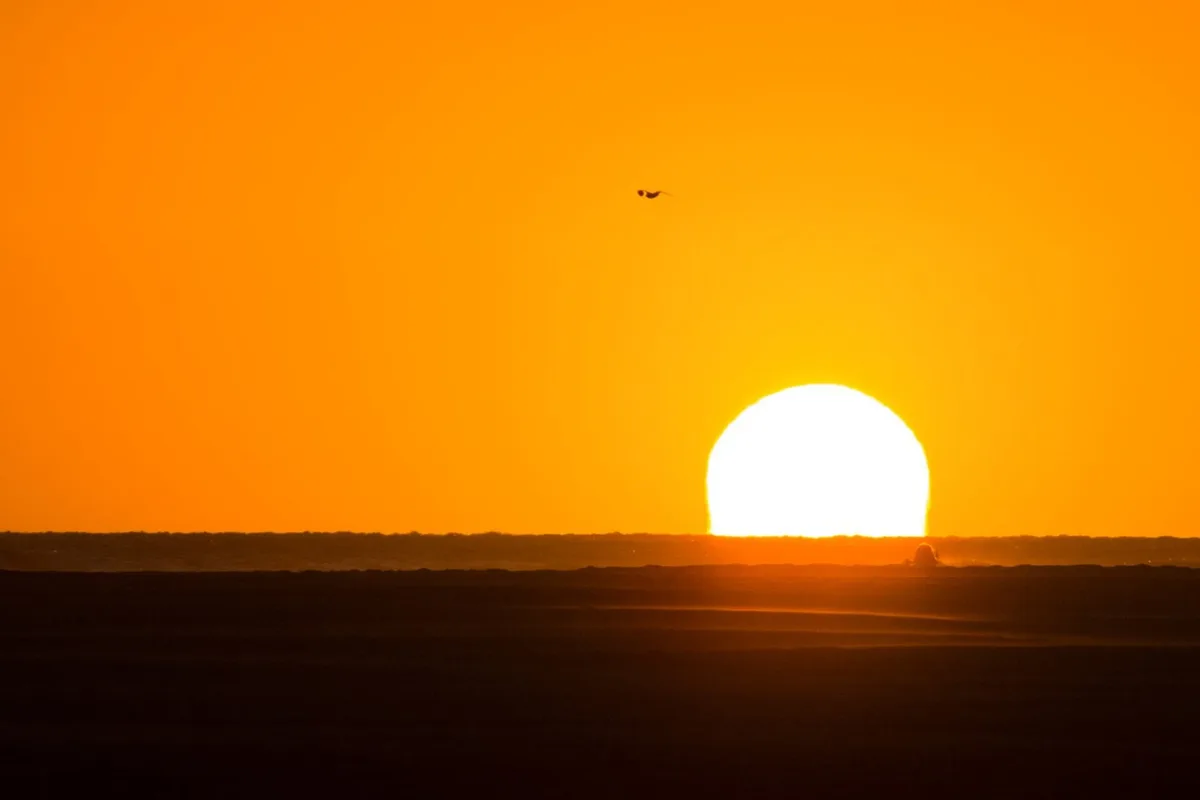 Científicos registran la temperatura más alta del mar: “El cambio climático se combina con un potente fenómeno de El Niño”