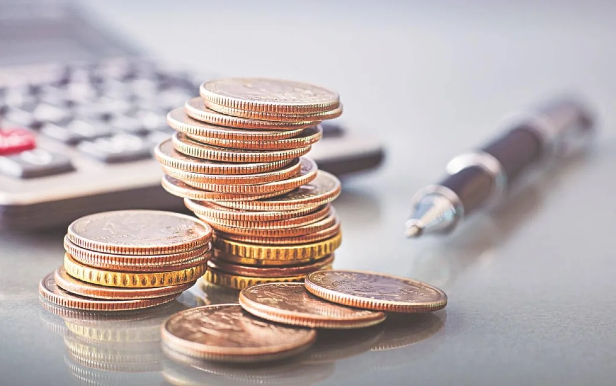 Largecaps for stability, mid and smallcap funds for higher returns