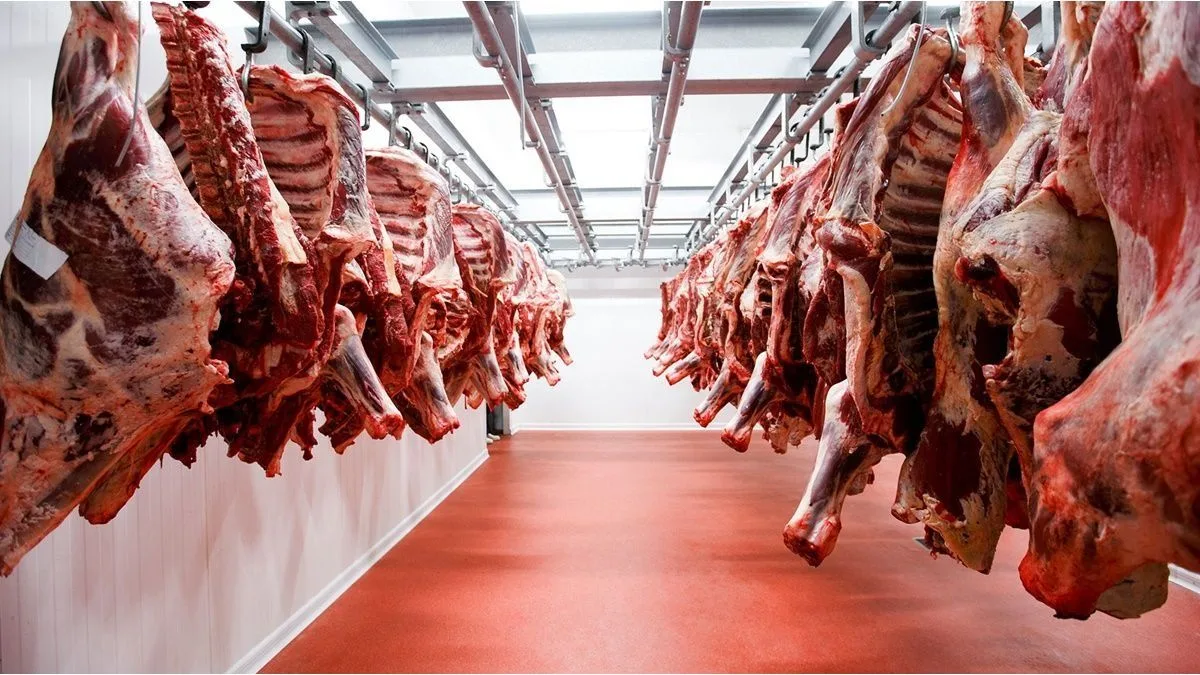 Exportaciones de carne vacuna crecieron 42% y ya generaron casi u$s2.800 millones en 2026