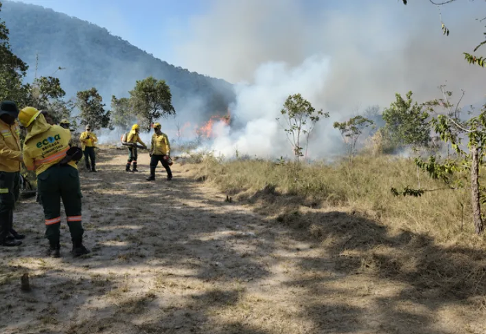 MS é 2º no País em emergências reconhecidas por incêndios em áreas protegidas