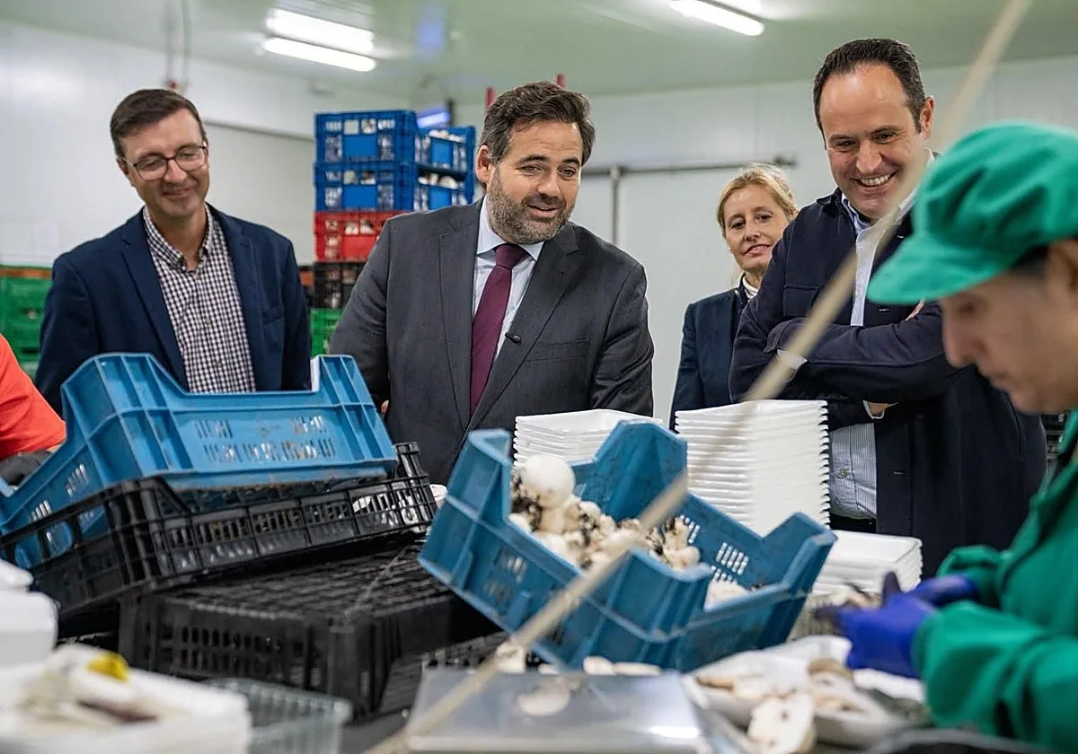 Núñez apuesta por la bajada de impuestos para impulsar el campo y la industria agroalimentaria