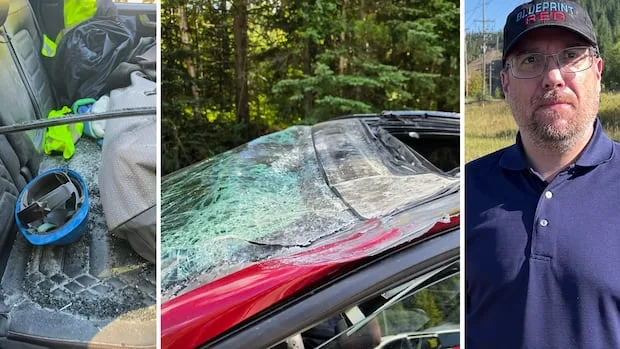 'All of a sudden it was on top of me': Harrowing moments as plane crashes into cars on B.C. road